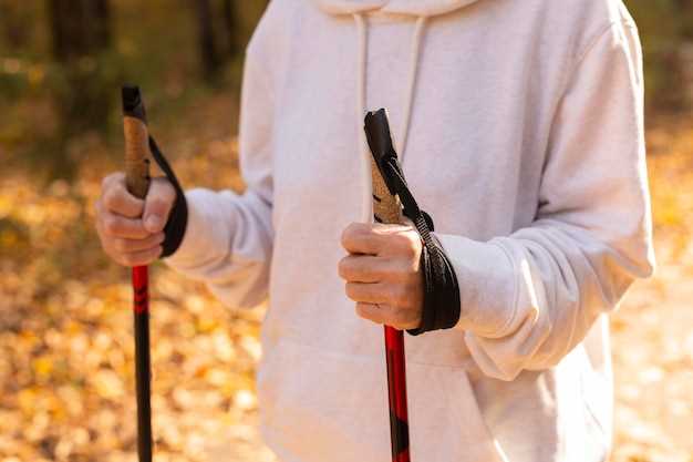 Best quivers for backcountry bowhunting