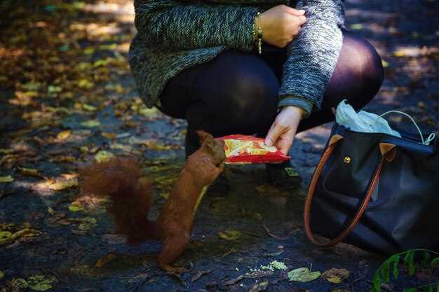 Proper Food Storage Techniques to Deter Wildlife