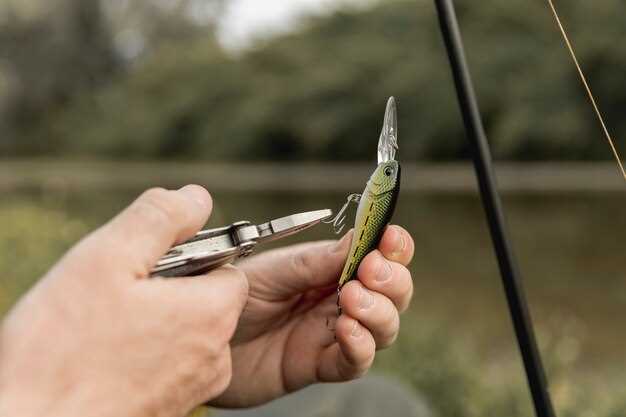 Preventative Measures: Maintaining Your Fishing Rod for Longevity