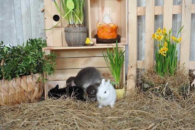 Preparing small game – rabbits, squirrels, and more