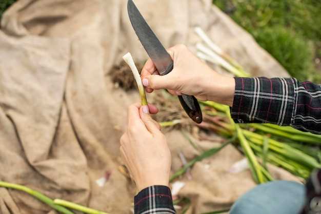 What knives are best for field butchering?